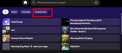 audiobook category on spotify