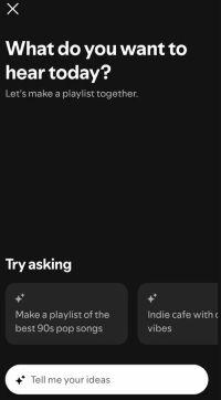 chat interface of spotify ai playlist