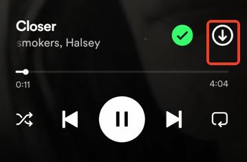 click download button to download individual songs in spotify x