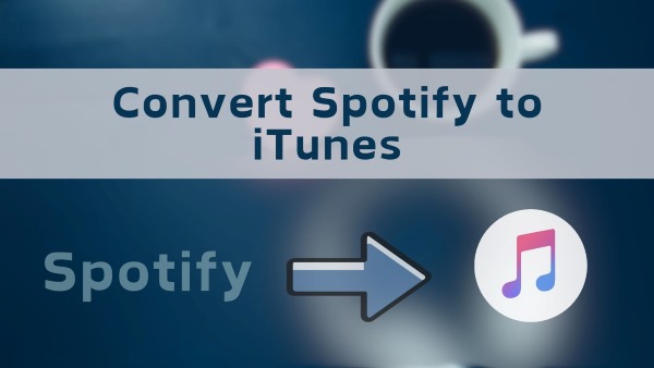 convert spotify playlist to itunes