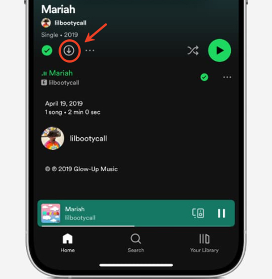 download spotify songs on iphone