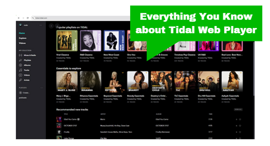 everything about tidal web player