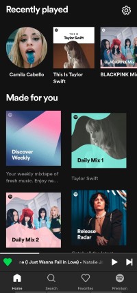 main interface of spotify lite