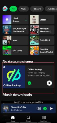 offline backup playlist on android