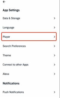 player option in audible app settings