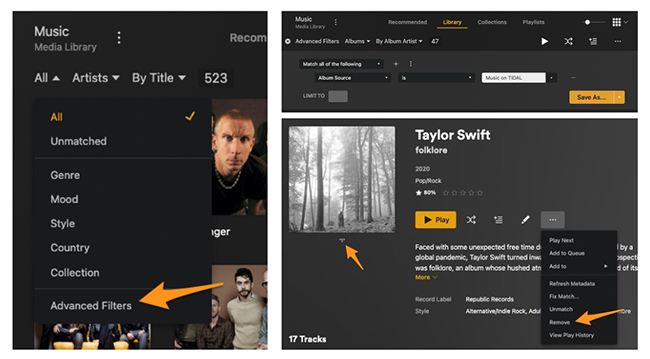 remove tidal content from plex