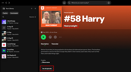 see all spotify episodes on computer