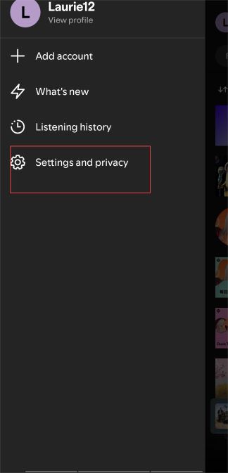 settings and privacy on spotify