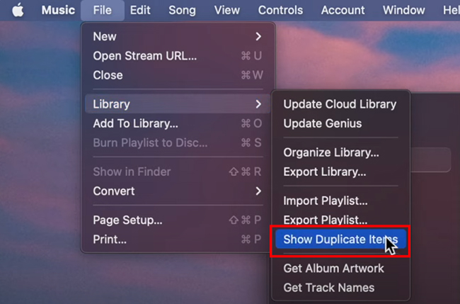 show duplicate items on mac