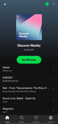 shuffle play on spotify lite