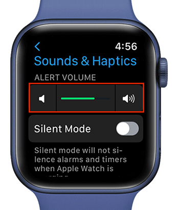 increase music volume on apple watch