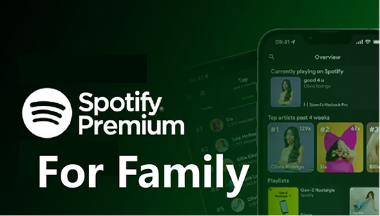 Buy Spotify Family Premium Spotify 1 Year Account