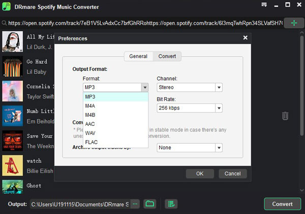 spotify output format win