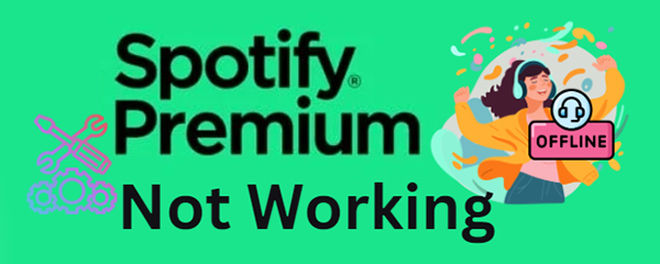 spotify premium not working offline