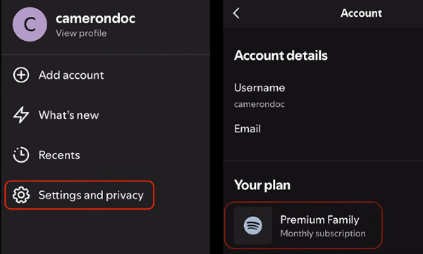 click spotify premium plan on mobile