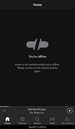 spotify says offline