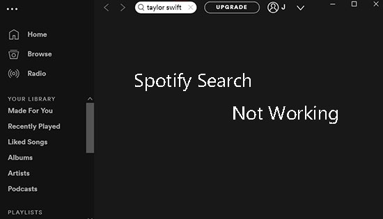 spotify cant search
