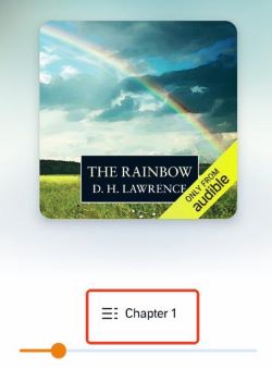 tap on the chapter selector on now playing page in audible app