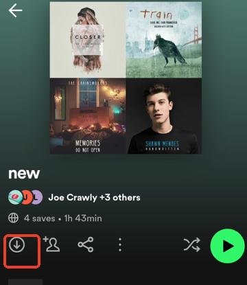 tap the download button on spotify x to download spotify playlists