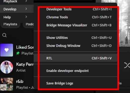 the suboptions of develop mode in spotify