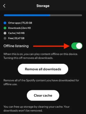 turn on offline listening on iphone