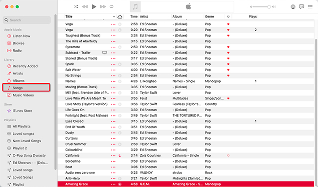 view added local files on apple music mac