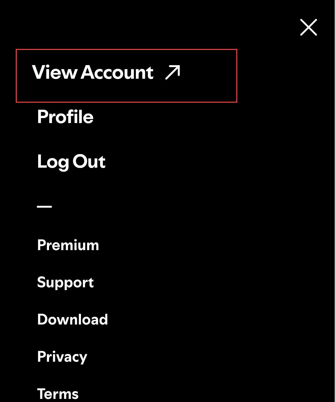 view spotify account info on mobile